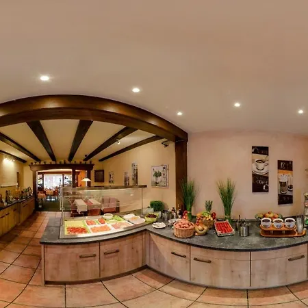 Rheinhotel Ruedesheim - Wellness מלון 3*