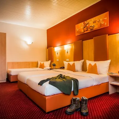 Rheinhotel Ruedesheim - Wellness מלון